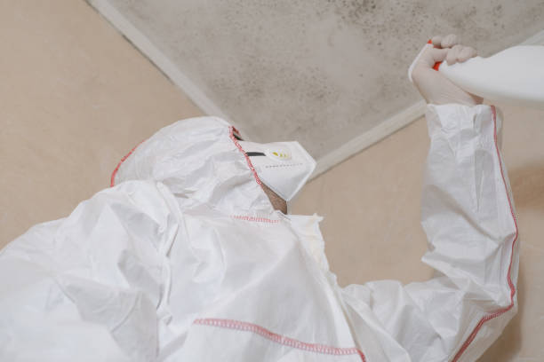 Navasota, TX Mold Remediation Company