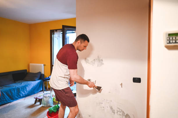 Best Insurance-Related Mold Remediation in Navasota, TX
